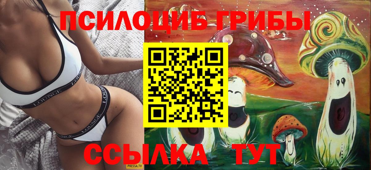 Галлюциногенные грибы MAGIC MUSHROOMS Новозыбков