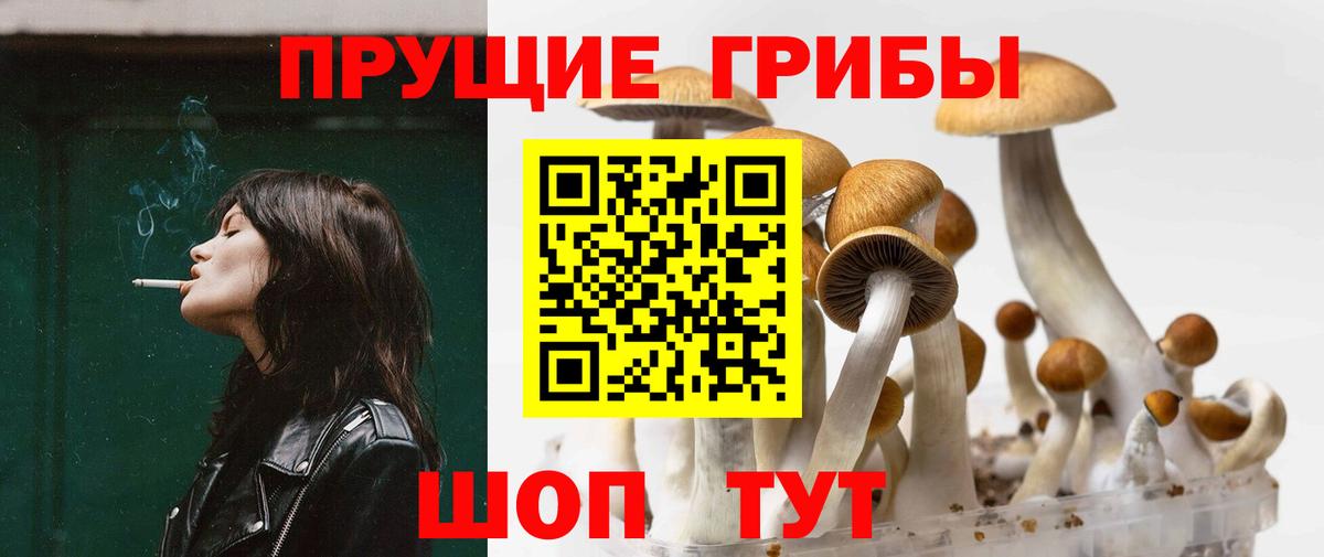 Псилоцибиновые грибы Magic Shrooms  Галлюциногенные грибы мицелий  Новозыбков  Вход с VPN 